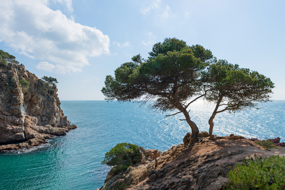 veranear en la Costa Brava